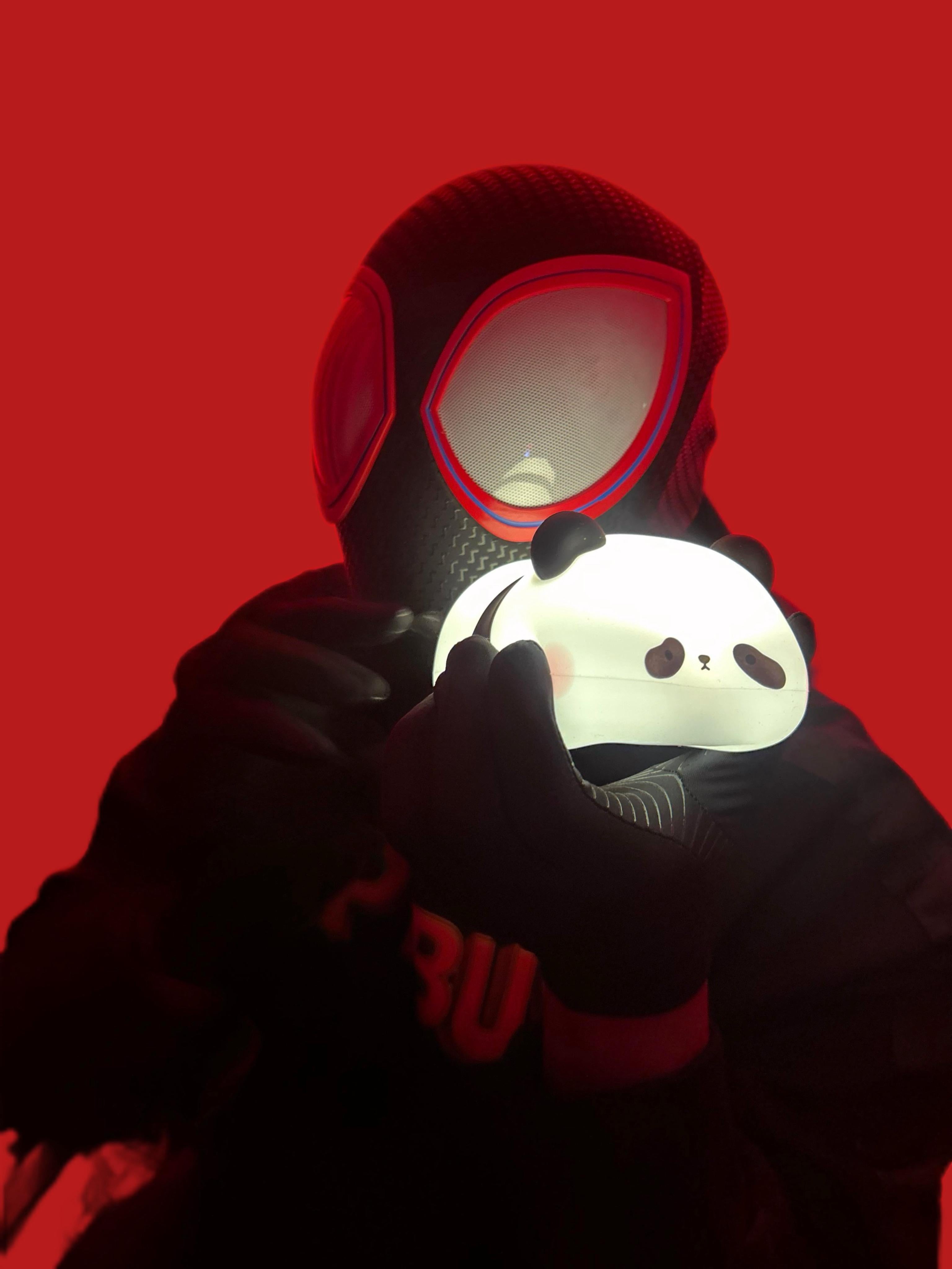 Cute Panda Silicone Night Light for Kids and Gifts